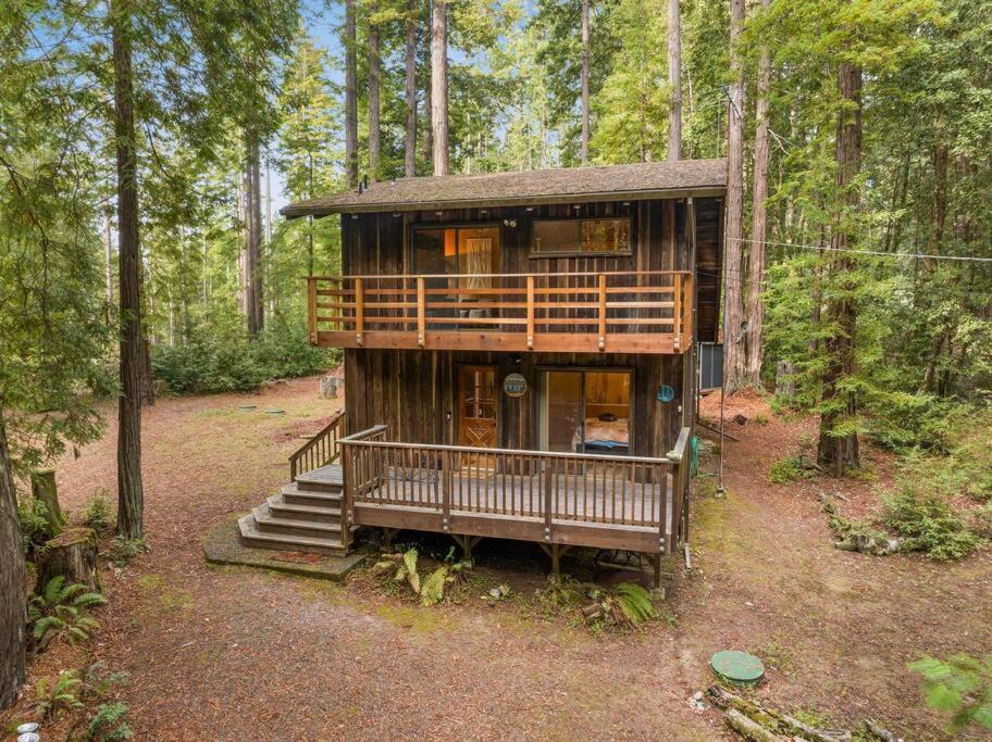 Grandma'S Cabin By The Sea Gualala Exterior foto